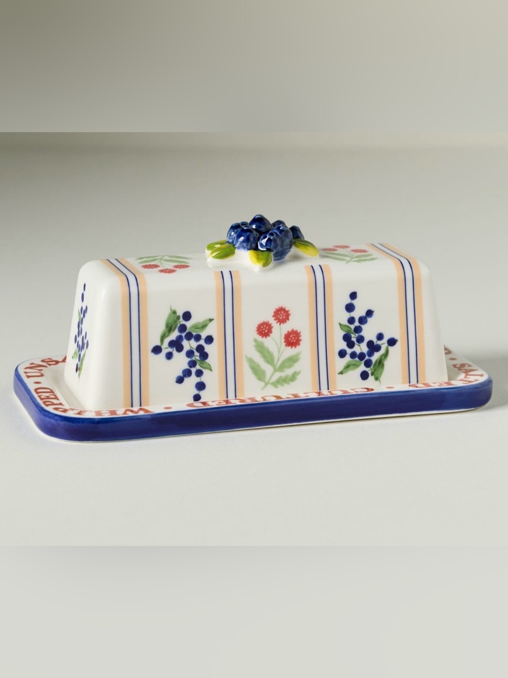 New! NWT Anthropologie Lotta Butter Dish.